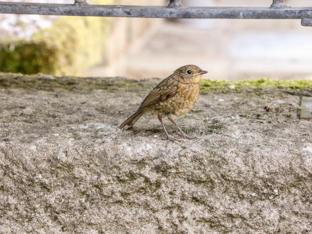 Robin's Nest Casa vacanze Bakewell